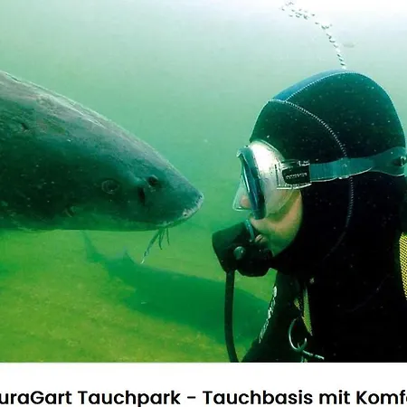 شقة Alte Seester Schule *