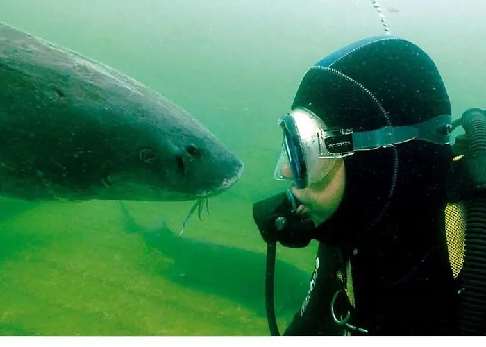 Apartman Alte Seester Schule *